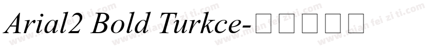 Arial2 Bold Turkce字体转换